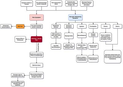 End-of-Life Care for Neonates: Assessing and Addressing Pain and Distressing Symptoms